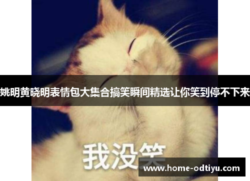 姚明黄晓明表情包大集合搞笑瞬间精选让你笑到停不下来