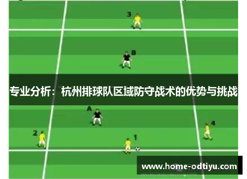 专业分析：杭州排球队区域防守战术的优势与挑战