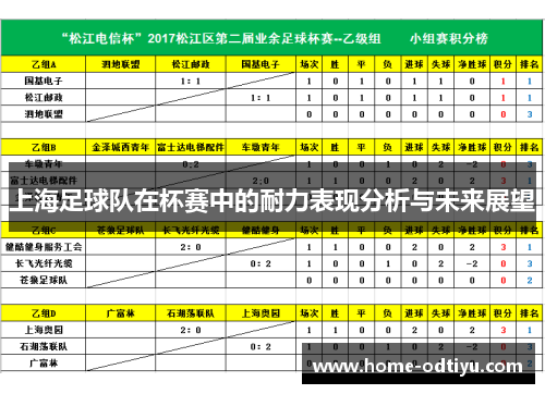 上海足球队在杯赛中的耐力表现分析与未来展望