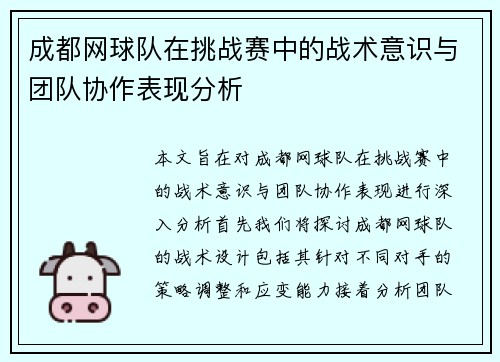 成都网球队在挑战赛中的战术意识与团队协作表现分析